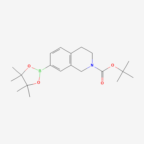 tert-butyl 7-(4,4,5,5-tetramethyl-1,3,2-dioxaborolan-2-yl)-3,4-dihydro-1H-isoquinoline-2-carboxylate (CAS: 937048-76-5) - Related Chemical Product
