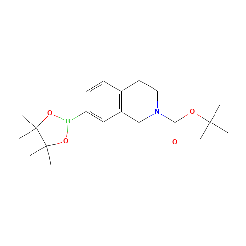 tert-butyl 7-(4,4,5,5-tetramethyl-1,3,2-dioxaborolan-2-yl)-3,4-dihydro-1H-isoquinoline-2-carboxylate (CAS: 937048-76-5) - Related Chemical Product