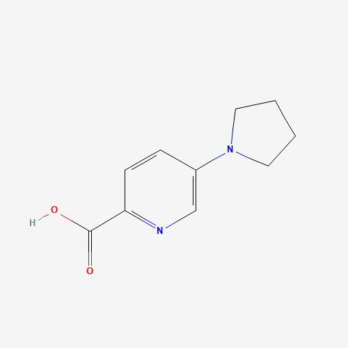 5-pyrrolidin-1-ylpyridine-2-carboxylic acid (CAS: 950603-19-7) - Related Chemical Product