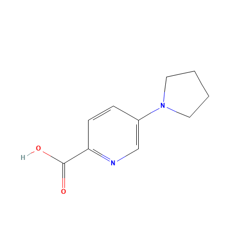 5-pyrrolidin-1-ylpyridine-2-carboxylic acid (CAS: 950603-19-7) - Related Chemical Product