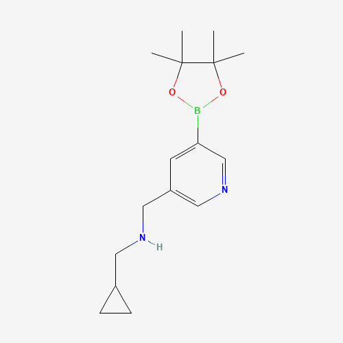 1-cyclopropyl-N-[[5-(4,4,5,5-tetramethyl-1,3,2-dioxaborolan-2-yl)pyridin-3-yl]methyl]methanamine (CAS: 919347-13-0) - Related Chemical Product