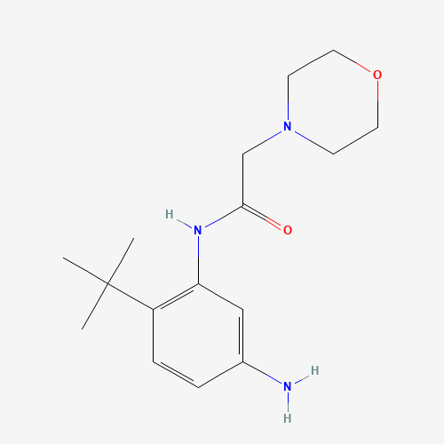 N-(5-amino-2-tert-butylphenyl)-2-morpholin-4-ylacetamide (CAS: 847695-69-6) - Related Chemical Product