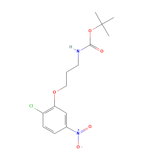 tert-butyl N-[3-(2-chloro-5-nitrophenoxy)propyl]carbamate (CAS: 1356009-15-8) - Related Chemical Product