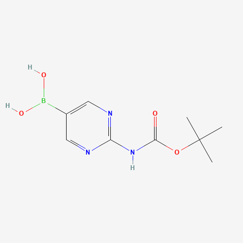 [2-[(2-methylpropan-2-yl)oxycarbonylamino]pyrimidin-5-yl]boronic acid (CAS: 883231-25-2) - Related Chemical Product
