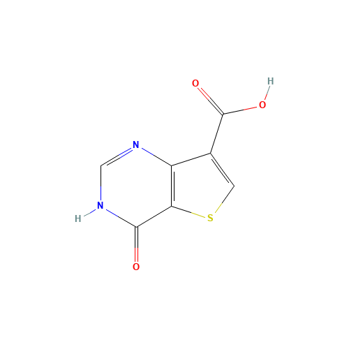 4-oxo-1H-thieno[3,2-d]pyrimidine-7-carboxylic acid (CAS: 1527518-33-7) - Related Chemical Product