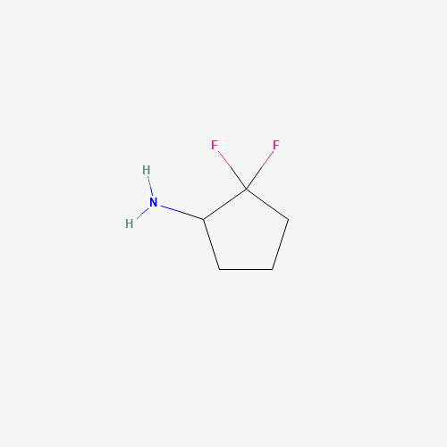 2,2-difluorocyclopentan-1-amine (CAS: 921753-24-4) - Related Chemical Product