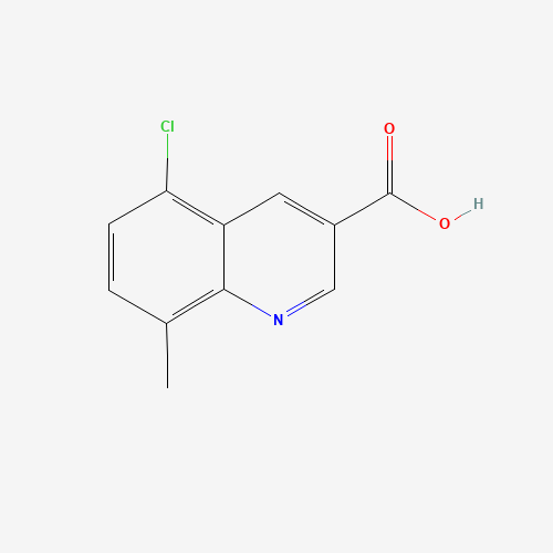 5-chloro-8-methylquinoline-3-carboxylic acid (CAS: 948294-24-4) - Related Chemical Product