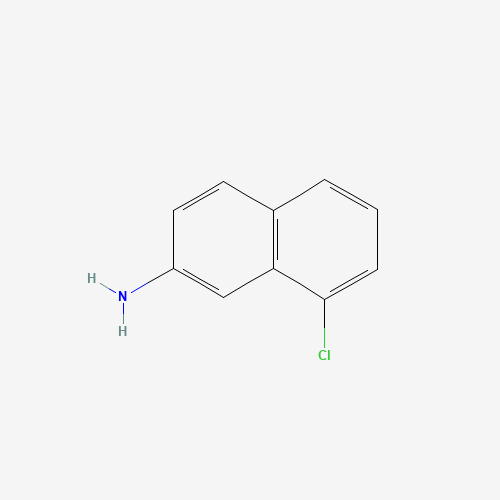 8-chloronaphthalen-2-amine (CAS: 843669-39-6) - Related Chemical Product