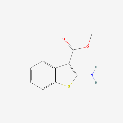 methyl 2-amino-1-benzothiophene-3-carboxylate (CAS: 92539-88-3) - Related Chemical Product