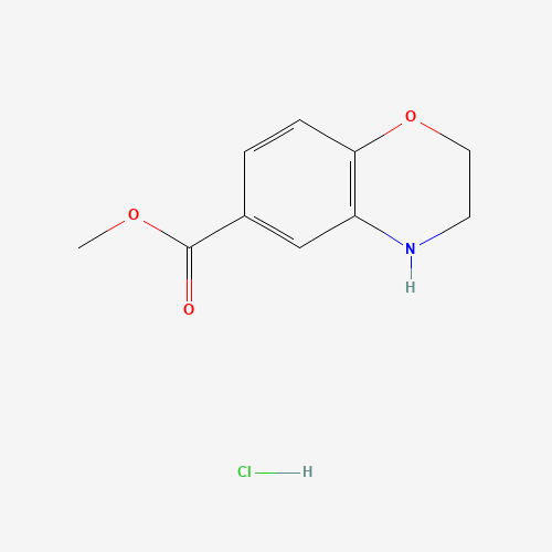 methyl 3,4-dihydro-2H-1,4-benzoxazine-6-carboxylate;hydrochloride (CAS: 648449-54-1) - Related Chemical Product