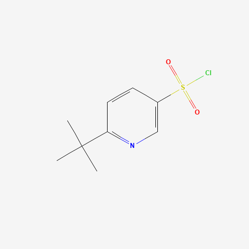 6-tert-butylpyridine-3-sulfonyl chloride (CAS: 1037241-40-9) - Related Chemical Product