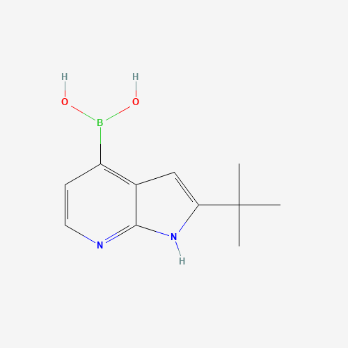 (2-tert-butyl-1H-pyrrolo[2,3-b]pyridin-4-yl)boronic acid (CAS: 1089669-71-5) - Chemical Structure and Molecular Formula 