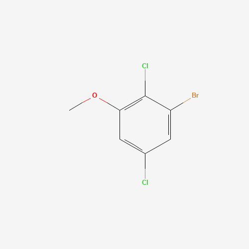 1-bromo-2,5-dichloro-3-methoxybenzene (CAS: 174913-17-8) - Related Chemical Product