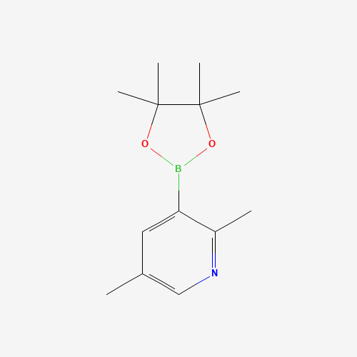 2,5-dimethyl-3-(4,4,5,5-tetramethyl-1,3,2-dioxaborolan-2-yl)pyridine (CAS: 1309980-12-8) - Chemical Structure and Molecular Formula 