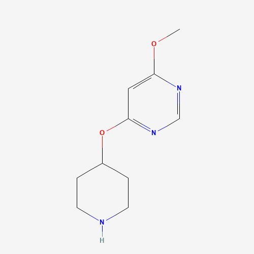 4-methoxy-6-piperidin-4-yloxypyrimidine (CAS: 1263387-61-6) - Chemical Structure and Molecular Formula 