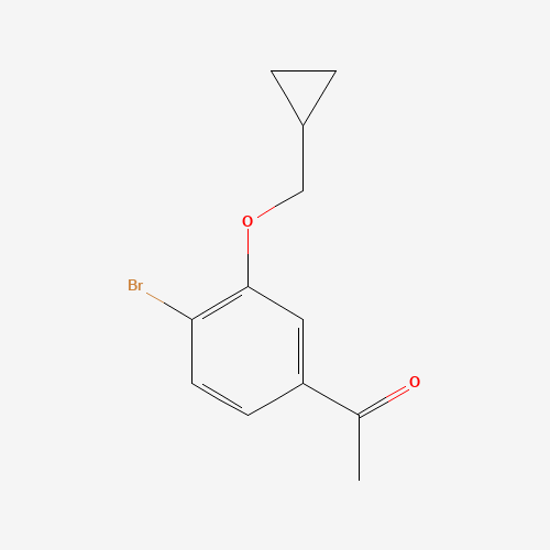 1-[4-bromo-3-(cyclopropylmethoxy)phenyl]ethanone (CAS: 1509934-51-3) - Related Chemical Product