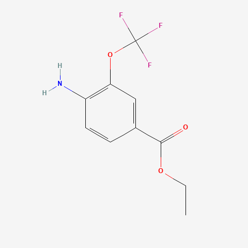 ethyl 4-amino-3-(trifluoromethoxy)benzoate (CAS: 1260742-02-6) - Related Chemical Product