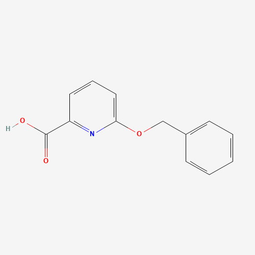 6-phenylmethoxypyridine-2-carboxylic acid (CAS: 149744-21-8) - Related Chemical Product