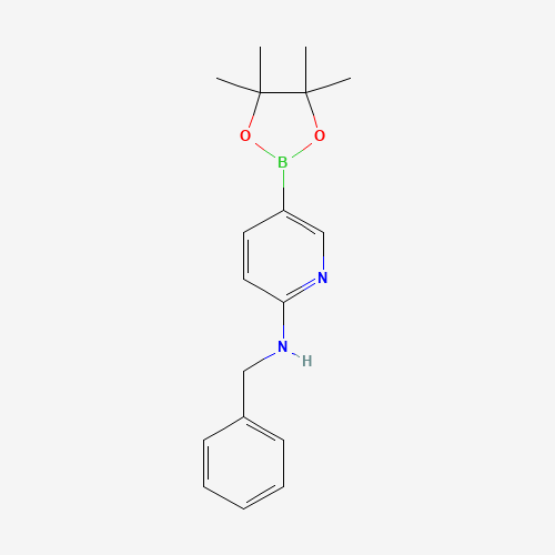 N-benzyl-5-(4,4,5,5-tetramethyl-1,3,2-dioxaborolan-2-yl)pyridin-2-amine (CAS: 1073354-27-4) - Related Chemical Product