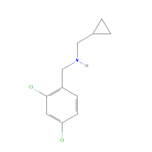 1-cyclopropyl-N-[(2,4-dichlorophenyl)methyl]methanamine (CAS: 1019539-09-3) - Related Chemical Product