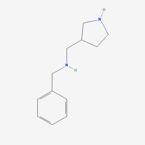 N-benzyl-1-pyrrolidin-3-ylmethanamine (CAS: 210307-08-7) - Related Chemical Product