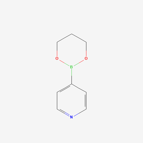 4-(1,3,2-dioxaborinan-2-yl)pyridine (CAS: 629670-24-2) - Related Chemical Product