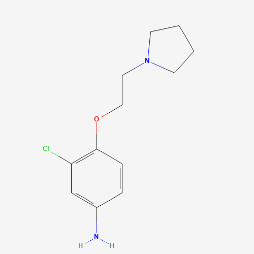 3-chloro-4-(2-pyrrolidin-1-ylethoxy)aniline (CAS: 862874-68-8) - Related Chemical Product
