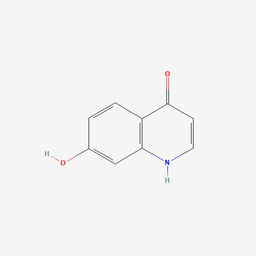 7-hydroxy-1H-quinolin-4-one (CAS: 955938-89-3) - Related Chemical Product