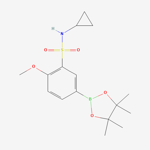 N-cyclopropyl-2-methoxy-5-(4,4,5,5-tetramethyl-1,3,2-dioxaborolan-2-yl)benzenesulfonamide (CAS: 1226903-49-6) - Related Chemical Product