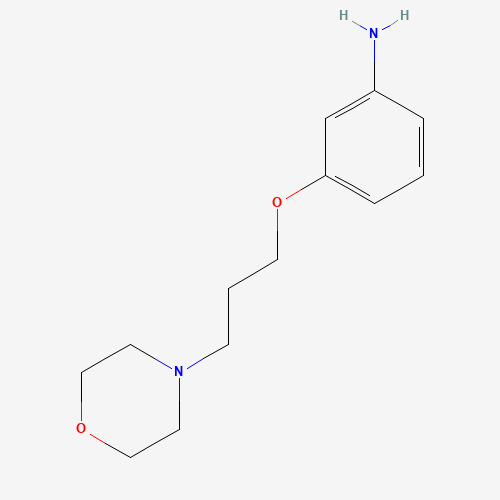 3-(3-morpholin-4-ylpropoxy)aniline (CAS: 925920-62-3) - Related Chemical Product