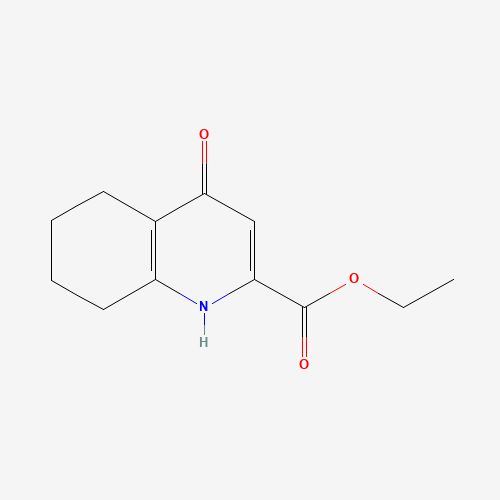 ethyl 4-oxo-5,6,7,8-tetrahydro-1H-quinoline-2-carboxylate (CAS: 1352724-20-9) - Chemical Structure and Molecular Formula 
