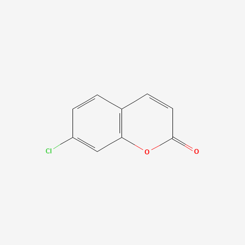 7-chlorochromen-2-one (CAS: 19063-54-8) - Related Chemical Product
