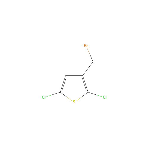 3-(bromomethyl)-2,5-dichlorothiophene (CAS: 63826-68-6) - Related Chemical Product