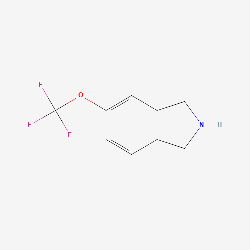 5-(trifluoromethoxy)-2,3-dihydro-1H-isoindole (CAS: 1211532-42-1) - Related Chemical Product