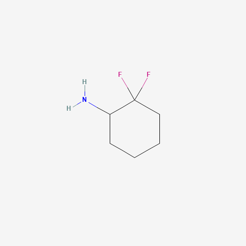 2,2-difluorocyclohexan-1-amine (CAS: 921753-37-9) - Related Chemical Product