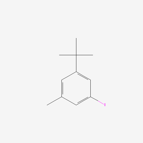 1-tert-butyl-3-iodo-5-methylbenzene (CAS: 111220-30-5) - Related Chemical Product