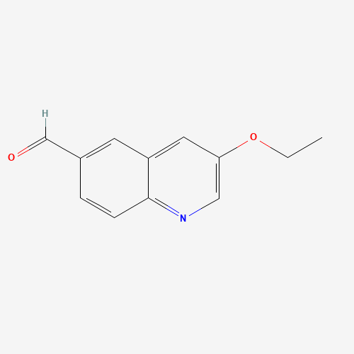 3-ethoxyquinoline-6-carbaldehyde (CAS: 1355585-02-2) - Related Chemical Product