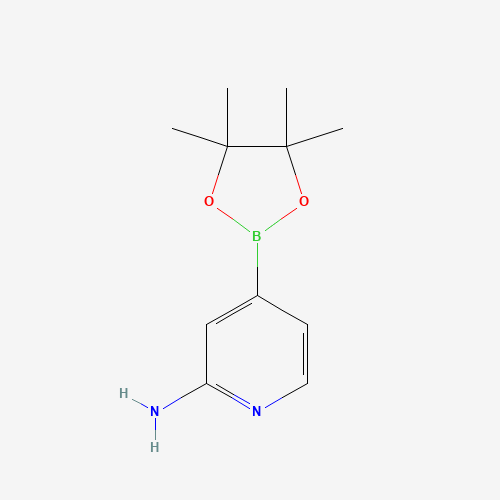 4-(4,4,5,5-tetramethyl-1,3,2-dioxaborolan-2-yl)pyridin-2-amine (CAS: 1195995-72-2) - Related Chemical Product