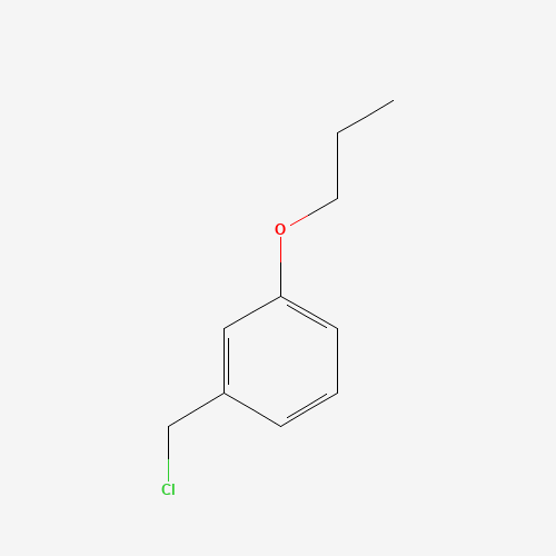 1-(chloromethyl)-3-propoxybenzene (CAS: 99047-04-8) - Related Chemical Product