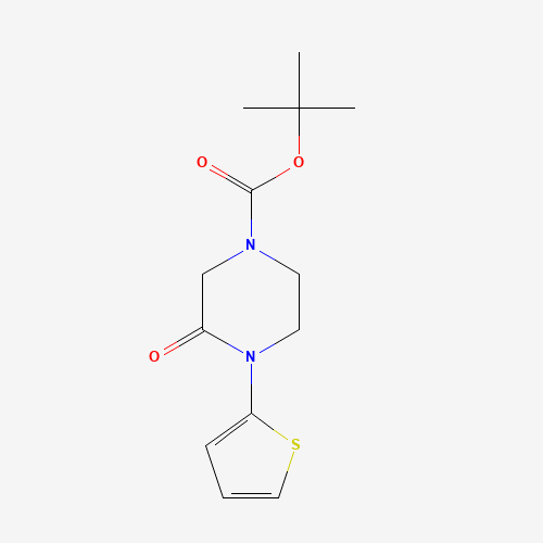 tert-butyl 3-oxo-4-thiophen-2-ylpiperazine-1-carboxylate (CAS: 1284249-91-7) - Related Chemical Product