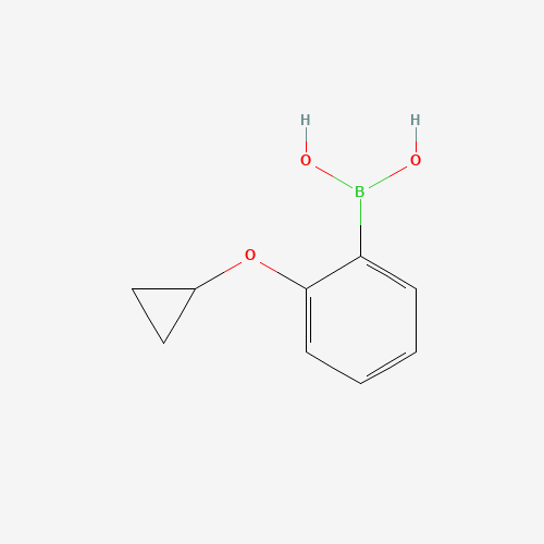 (2-cyclopropyloxyphenyl)boronic acid (CAS: 225517-86-2) - Related Chemical Product