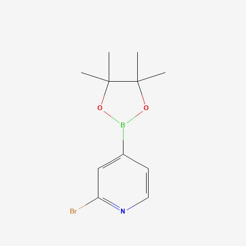 2-bromo-4-(4,4,5,5-tetramethyl-1,3,2-dioxaborolan-2-yl)pyridine (CAS: 458532-82-6) - Related Chemical Product