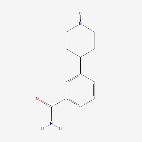 3-piperidin-4-ylbenzamide (CAS: 1044769-17-6) - Related Chemical Product