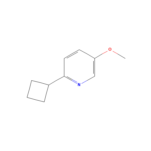 2-cyclobutyl-5-methoxypyridine (CAS: 1196074-36-8) - Related Chemical Product