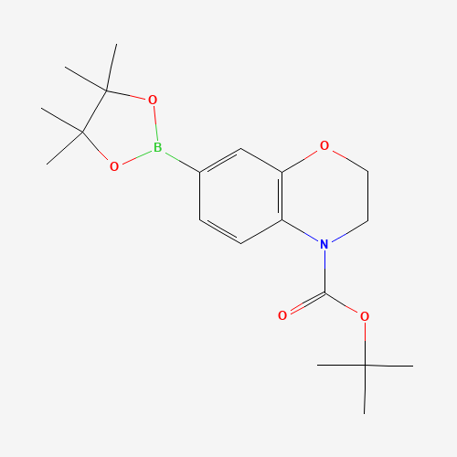 tert-butyl 7-(4,4,5,5-tetramethyl-1,3,2-dioxaborolan-2-yl)-2,3-dihydro-1,4-benzoxazine-4-carboxylate (CAS: 1467057-57-3) - Chemical Structure and Molecular Formula 