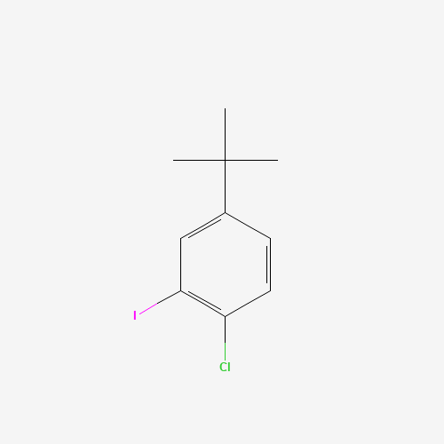 4-tert-butyl-1-chloro-2-iodobenzene (CAS: 1233062-20-8) - Related Chemical Product