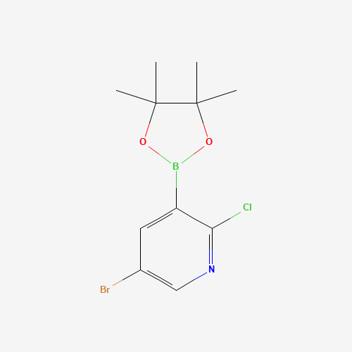5-bromo-2-chloro-3-(4,4,5,5-tetramethyl-1,3,2-dioxaborolan-2-yl)pyridine (CAS: 1073354-79-6) - Related Chemical Product