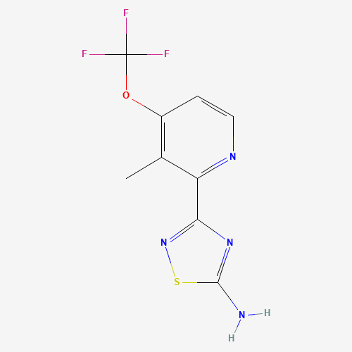 3-[3-methyl-4-(trifluoromethoxy)pyridin-2-yl]-1,2,4-thiadiazol-5-amine (CAS: 1179360-40-7) - Related Chemical Product