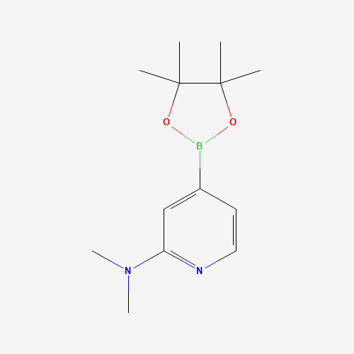 N,N-dimethyl-4-(4,4,5,5-tetramethyl-1,3,2-dioxaborolan-2-yl)pyridin-2-amine (CAS: 1321518-05-1) - Related Chemical Product