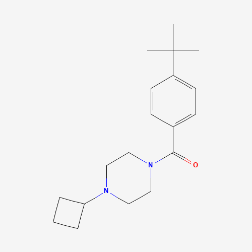 (4-tert-butylphenyl)-(4-cyclobutylpiperazin-1-yl)methanone (CAS: 1000405-00-4) - Chemical Structure and Molecular Formula 